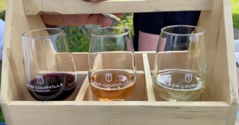 Notre dégustation au vignoble comprenait 3 petits verres de vins rouge, orange et blanc verres de dégustation